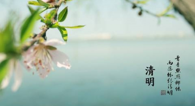 2016年清明节作文200字范文 享受着美好的时光