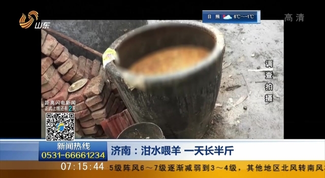 养殖户用泔水喂羊触众怒 人吃泔水羊易得传染病