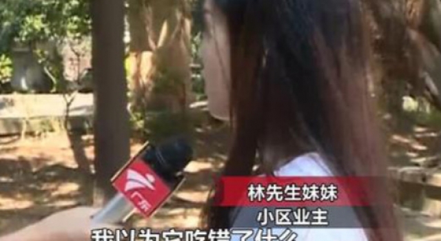 小区投毒狗死亡 死亡原因或是人为投毒故意伤害