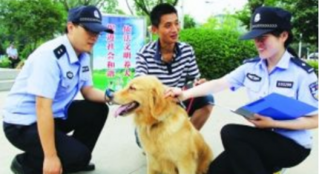 最严遛狗规定是怎么回事?早起贪黑遛狗是否合理?