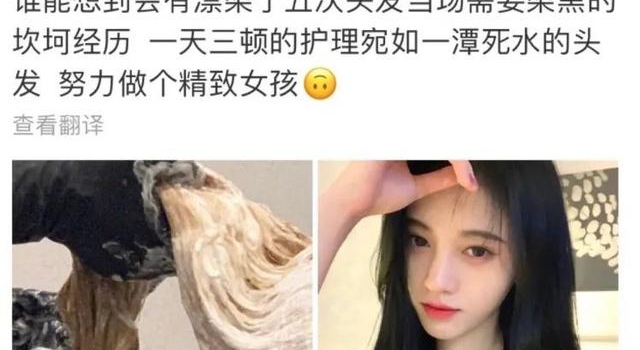 网红明星,傻傻分不清