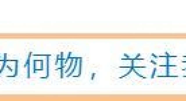 靠儿子火起来的霍思燕,如今发胖,人到中年就不顾形象了?