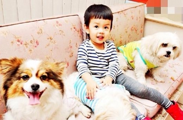 邓超孙俪携儿女现身 幸福满满羡煞旁人！