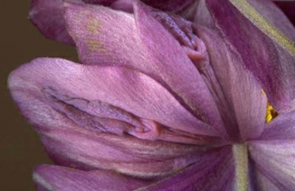 ����!Ů��������״10�������㶼�Թ���Щ?