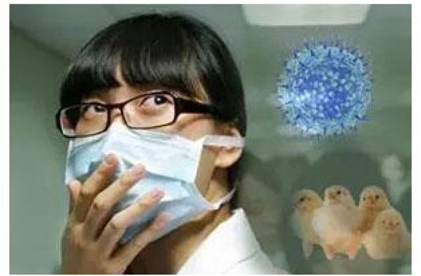 可怕有加！h7n9潜伏期最长7天 已缩短至3-4天