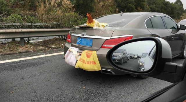 两鸭一鸡成网红：东莞轿车后备箱挂着鸡鸭跑高速