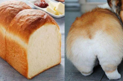 ЩܺóԵĶ ôѳֵס
