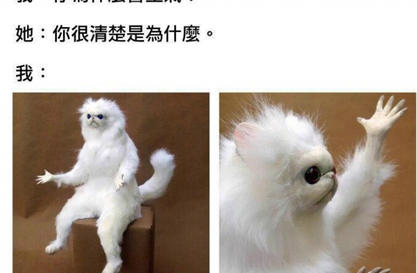 说好的建国后不能成精呢 你酱紫什么意思