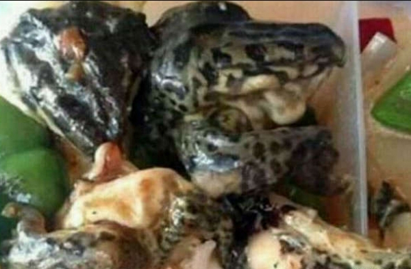 咱有话好好说 论那些年没吃过的食堂奇葩菜