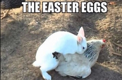 ô һмֻ