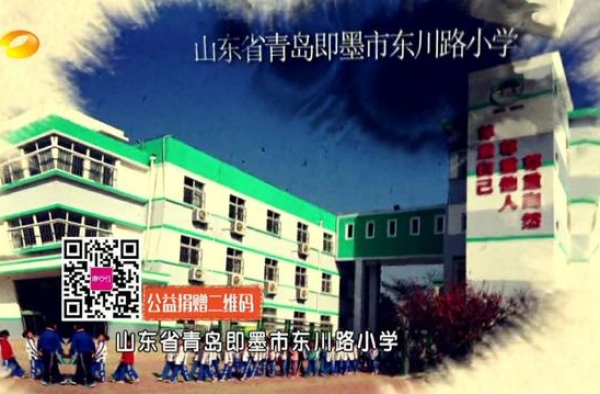 天天向上陷捐款门始末揭秘 天天向上毁过的女神盘点