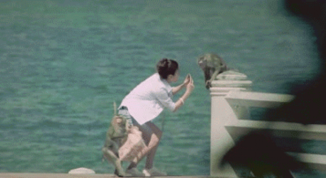 爆笑GIF 如何正确化解尴尬