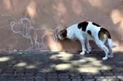ЦȤͼ ˵ˮСƨƨ