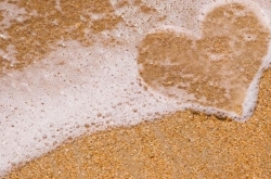  Ը