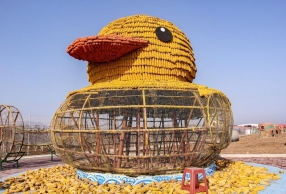 ũƴװѼ 6000