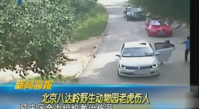 八达岭老虎咬人 受害者与动物园担责多少起争议