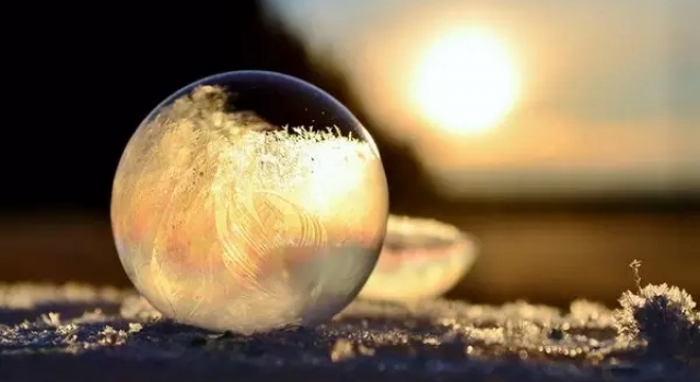 美爆了的冬日雪景 万朵冰花齐开放