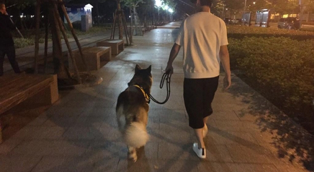 活得不如一条狗! 王思聪买权志龙同款项链当狗链