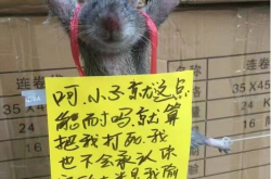 ��Ȥ���ֿⷢ������ �廨��󻹱��ҡ��ڹ��顱