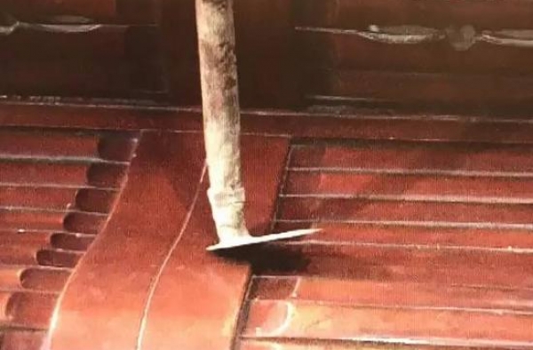女子遭人恐吓 家中全是鲜血狗尸体被吊起