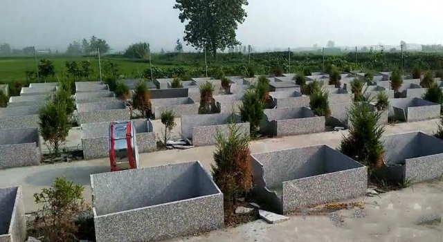 死者应入土为安竟有人干出这种事