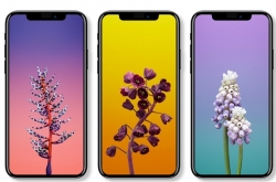 ƻiphone8Ϣع 10iPhoneiPhoneX?