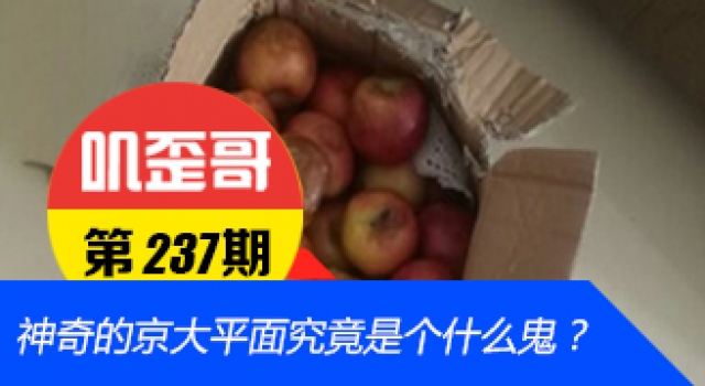 【叽歪哥 V0.237】神奇的京大平面究竟是个什么鬼？
