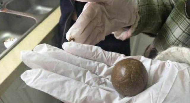 学生“炼丹”做出古代脑白金 试吃学生：太难吃了！