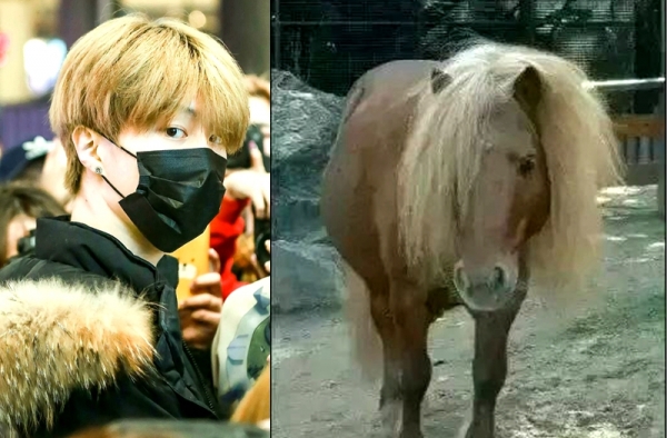 好多男生都是这三个发型 扎心的是你没它们帅！