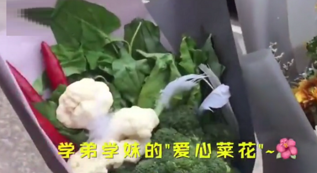 收到菜花寓意有才华？夸人赞美别人的话你可以这么说
