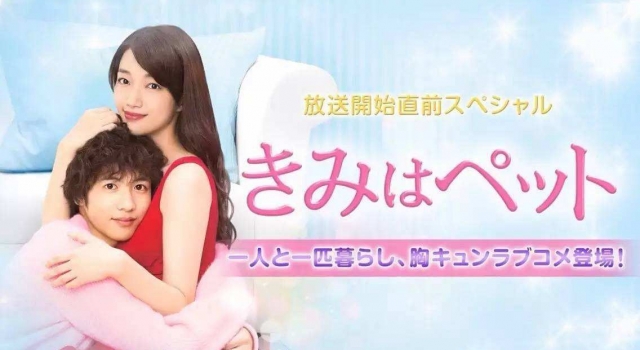 《宠物情人》经典台词 我没资格当个社会人吧