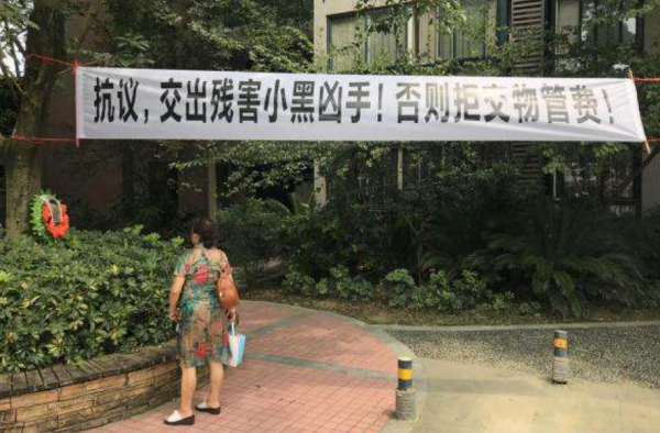 为狗挂花圈讨公道怎么回事 喂养8年的狗被乱棍打死 谁的责任？