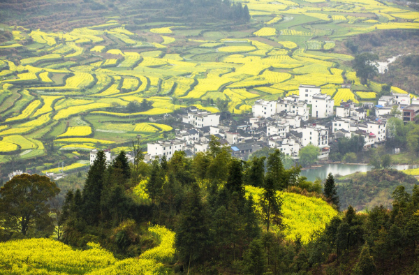 江西最美之地 自驾游的好去处 你知道是哪里吗?