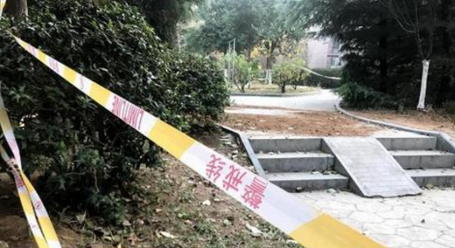 大学生捅死妈妈详情始末 母亲是过来陪读的？