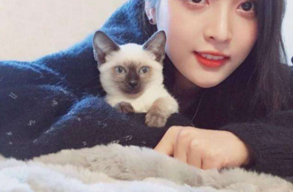 吴宣仪悼念爱猫 粉丝暖心安慰 希望尽快走出悲伤
