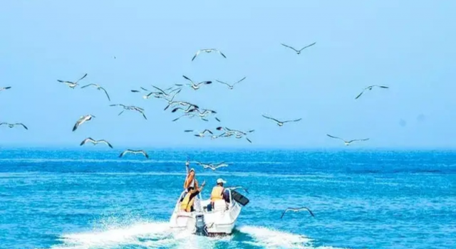 威海自驾游旅行攻略 2019年一定要去威海做的事情你都知道吗？
