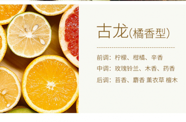 味道舒适的车载香薰 你的爱车一定要有的车载香薰