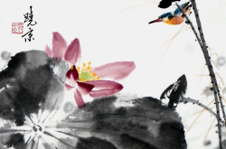 荷花画家郑晓京
