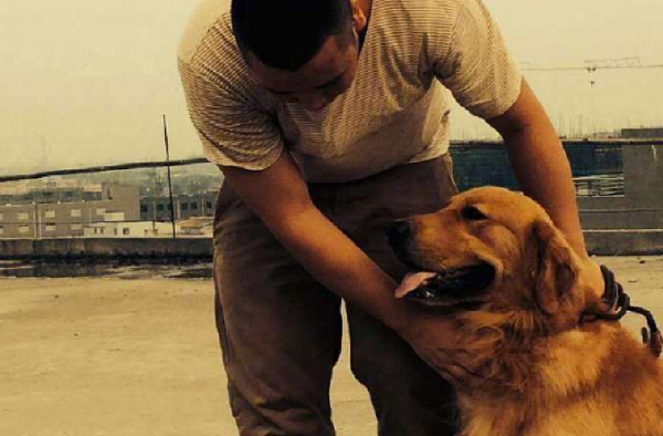 打死金毛犬被刑拘 老人在冲突中受伤住院 事情经过揭露