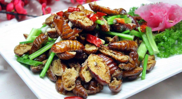 这些多数人不敢吃的美食 你有胆量尝一尝吗？