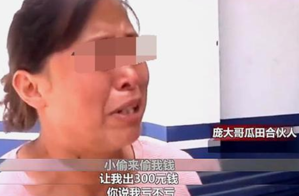 瓜农倒赔偷瓜贼 什么情况？这偷瓜贼以后是拦还是不拦