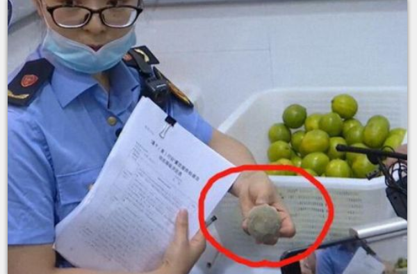 CoCo奶茶腐烂水果被查出 网红奶茶还能再“续命”吗？