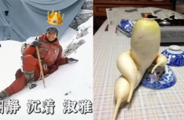 胡歌碰瓷式摔倒 成功get萝卜表情包同款姿势！