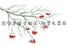 Щ㾪޵һ仰 һ˲ж