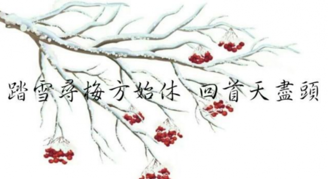 有哪些令你惊艳的一句话 在一瞬间感动到你