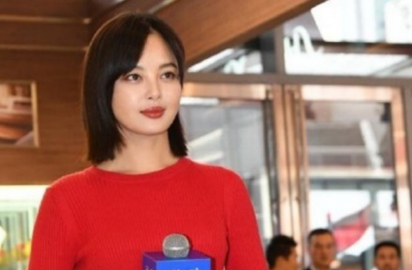 辛芷蕾回应庆余年被盗播 网友：辛芷蕾也太难了！