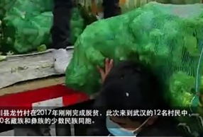 봨Է֧Ԯ人100߲ ѣ봨̫