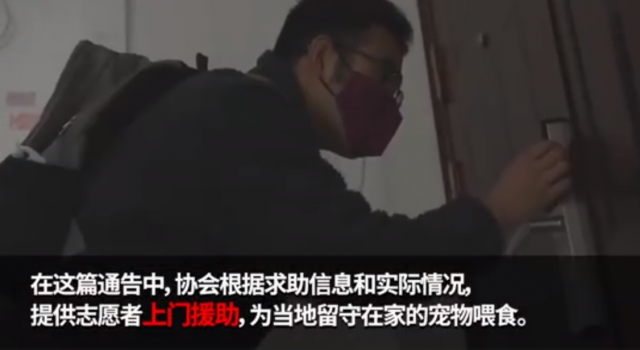 武汉宠物救助已暂停上门喂食 号召同小区进行社区互助