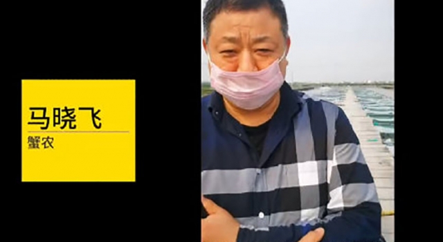 阳澄湖螃蟹大量滞销 却未得同情：抬价不成卖惨而已