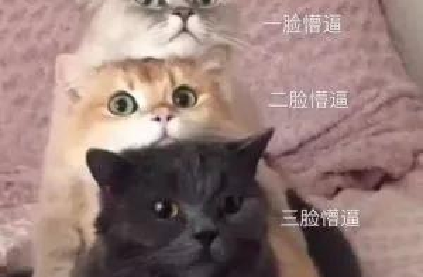 她俩撞衫，值得撕三天三夜？